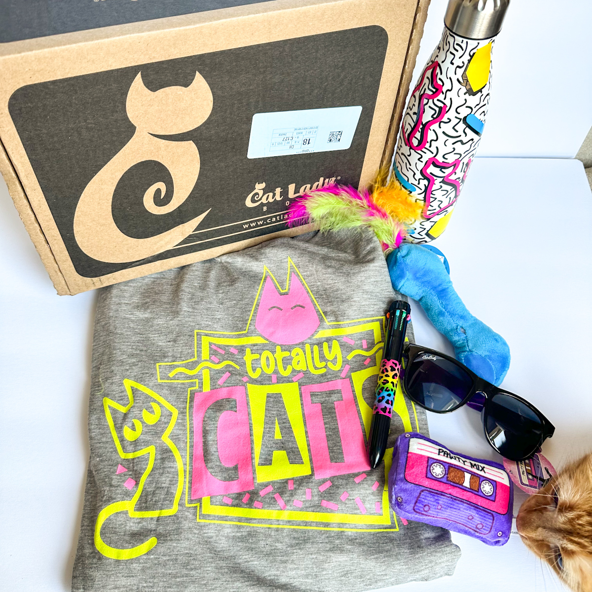 CatLadyBox Review “Totally Cats” August 2023