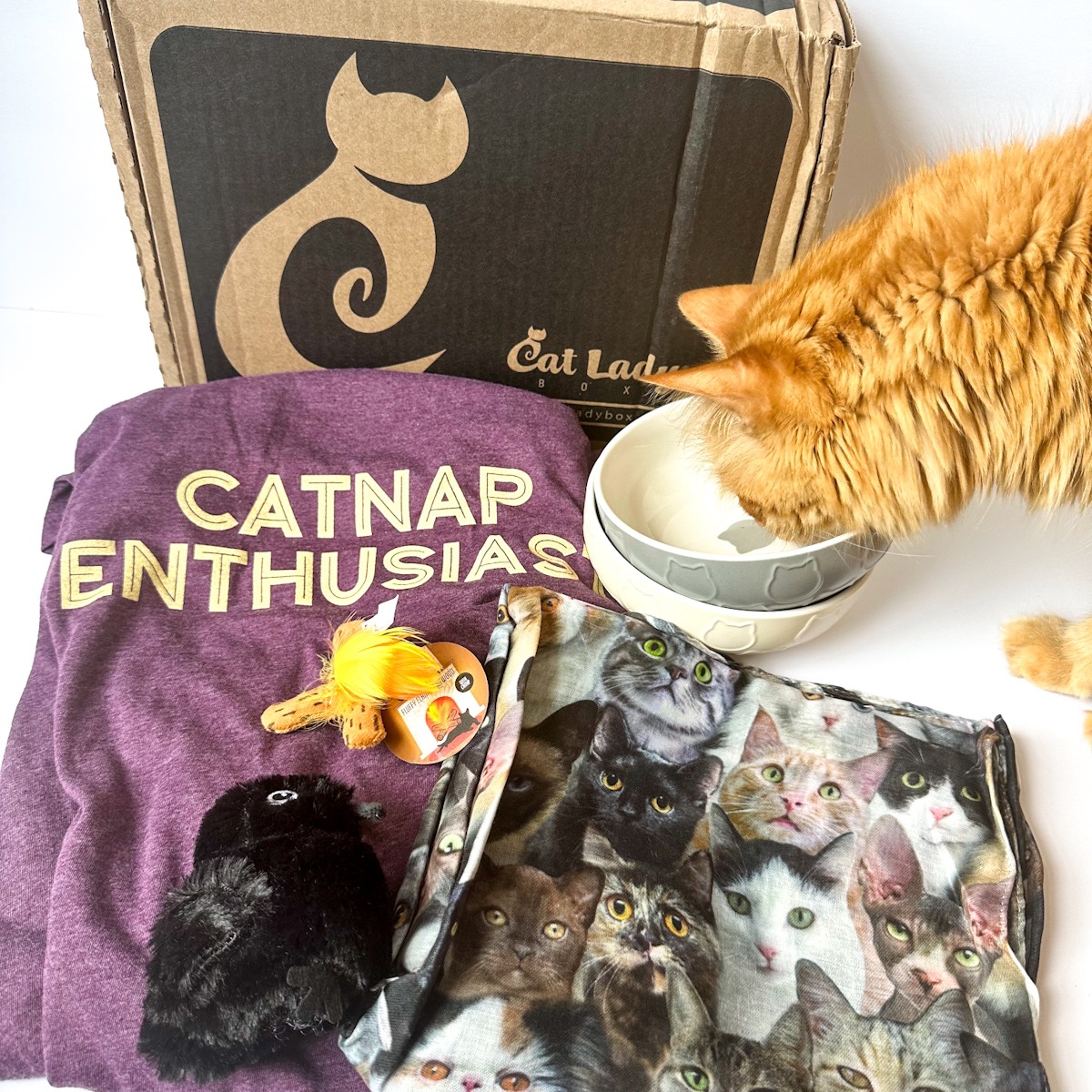 CatLadyBox Review “Cozy Kitten”  September 2023