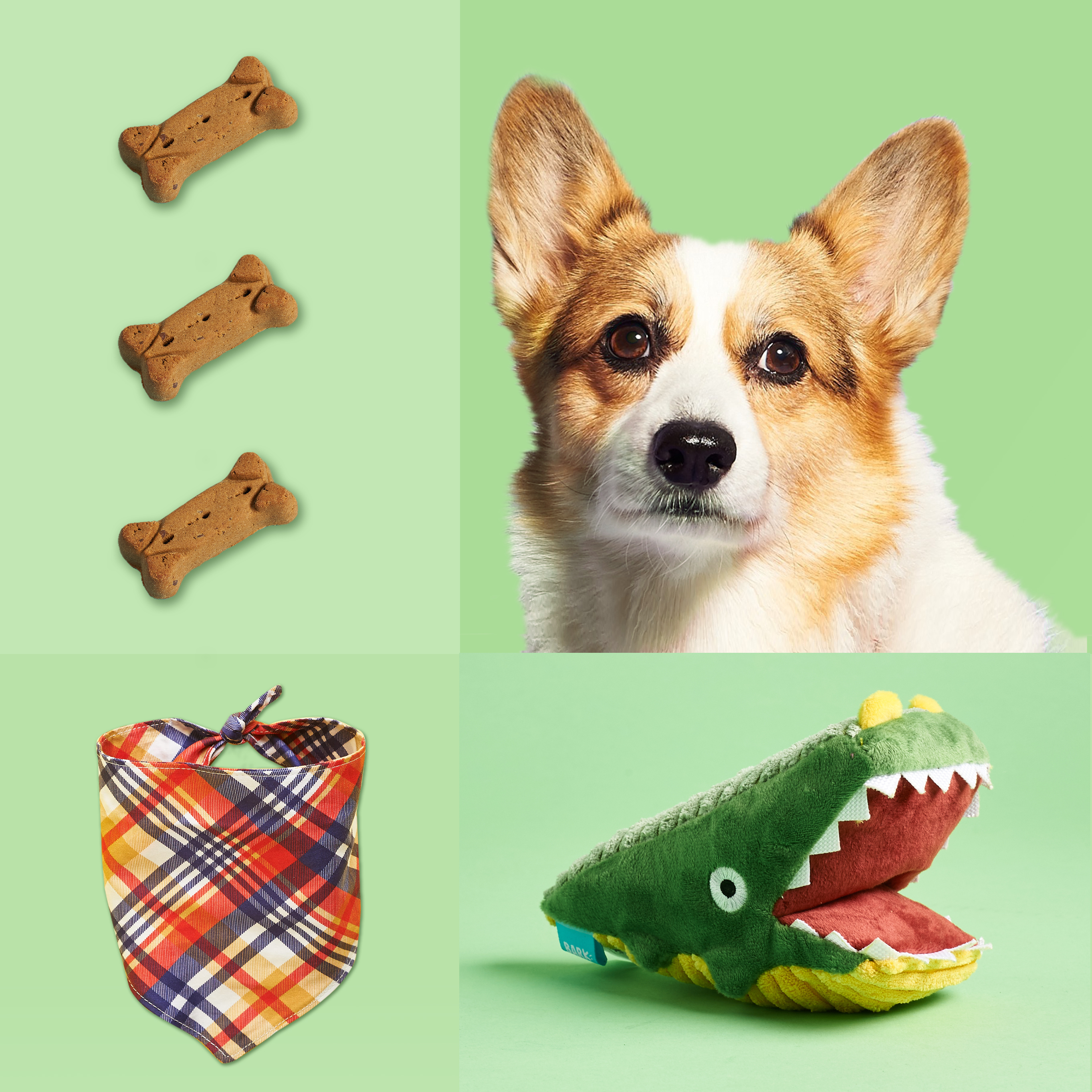 The 15 Best Dog Subscription Boxes of 2021