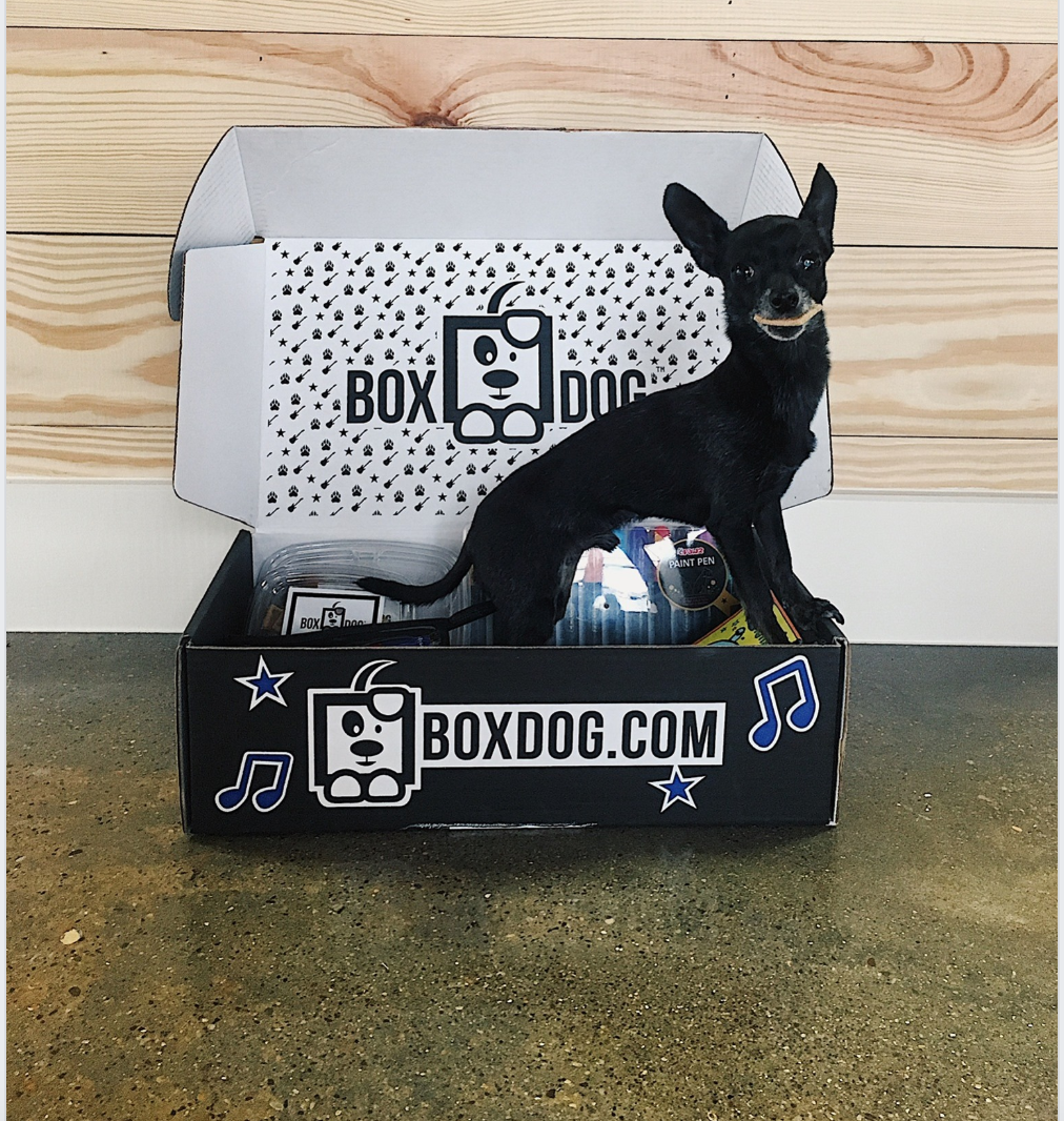 BoxDog